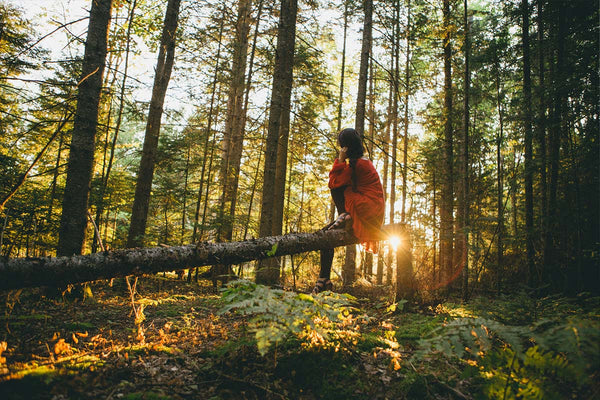 Woman Sitting on Log in Forest